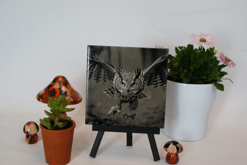 Hibou en vol