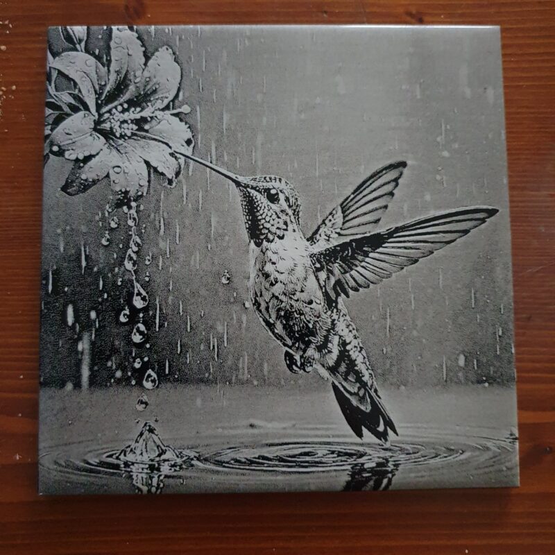 Colibri