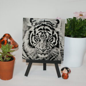 TIGRE