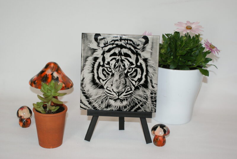TIGRE