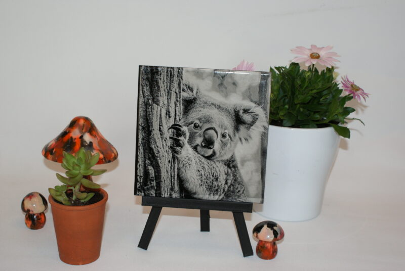 KOALA