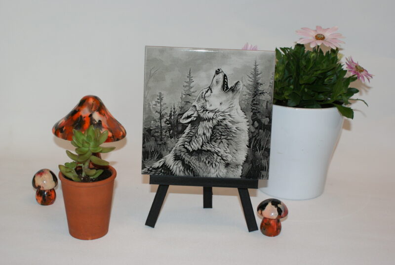 Loup hurlant
