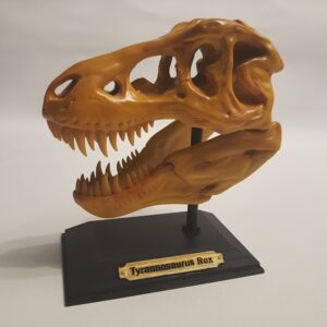 Réplique crâne Tyrannosaure