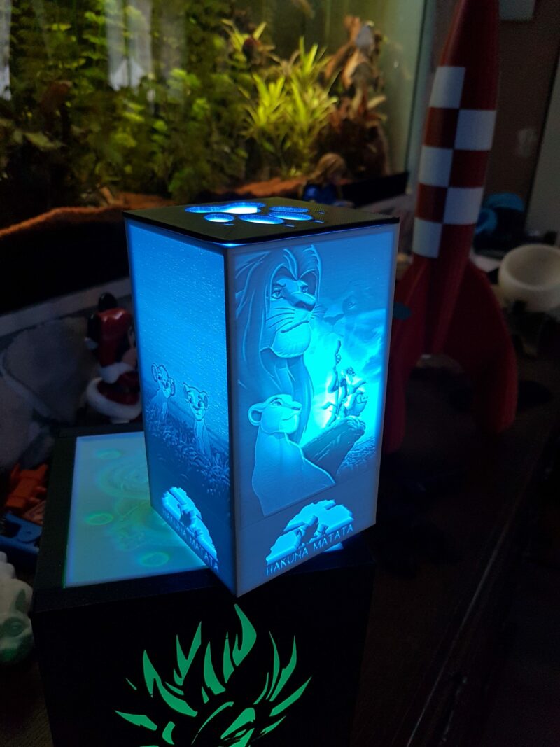 Lumière ambiance rechargeable